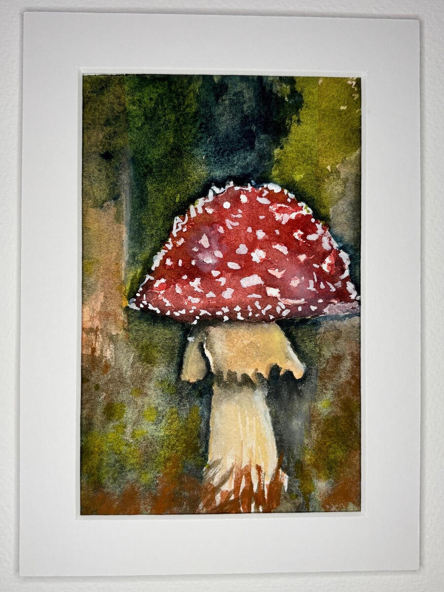 A Mushroom